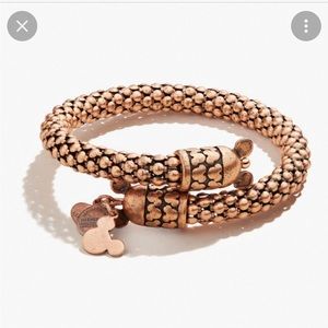 Alex and Ani Disney Parks Wisdom Weap Rose Gold